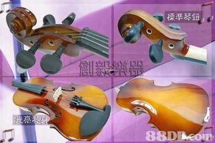 创毅乐器 您的乐器批发与零售首选