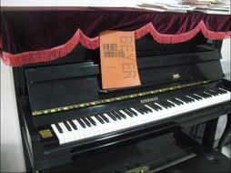 广汉魅乐琴艺 一站式乐器零售与音乐梦想的启航地