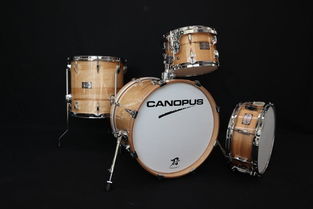 日本打击乐器代购指南 价格、二手市场与购买渠道全解析